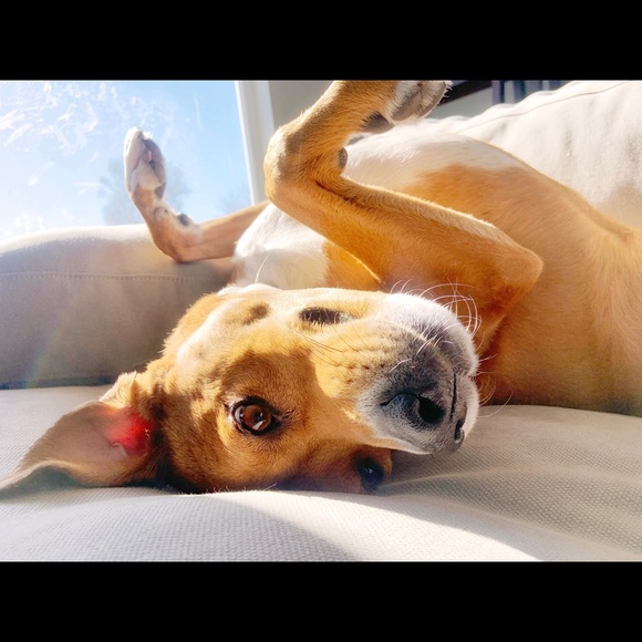 Meet your Posher, Meghann - Picture 1 of 1